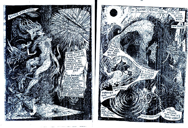codex3